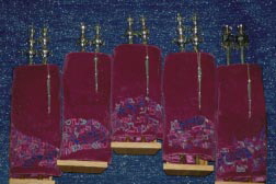 Torah Mantle Set